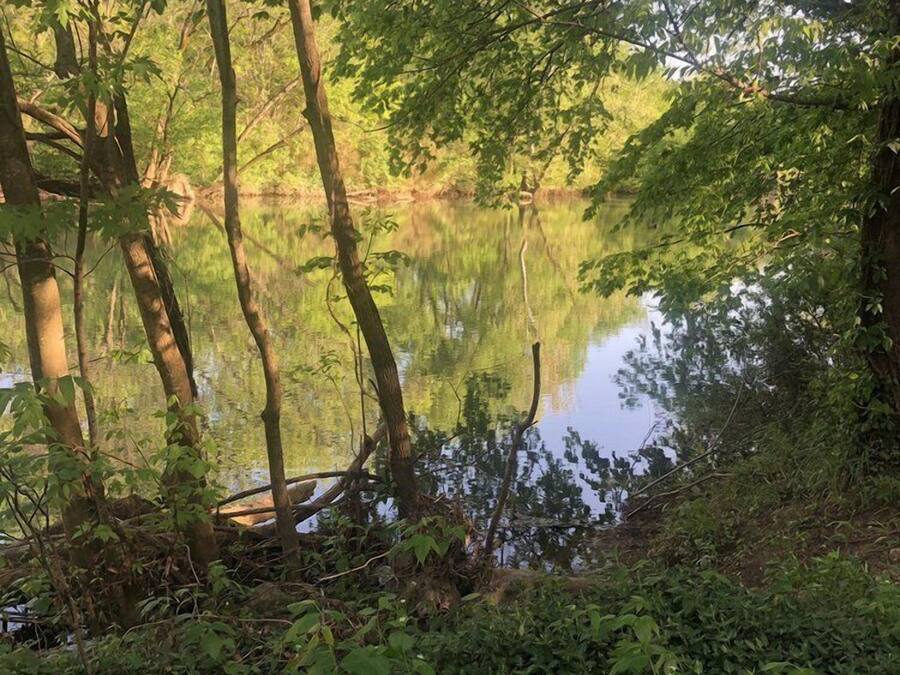 Un entorno tranquilo junto al lago, con abundante vegetación y aguas serenas.