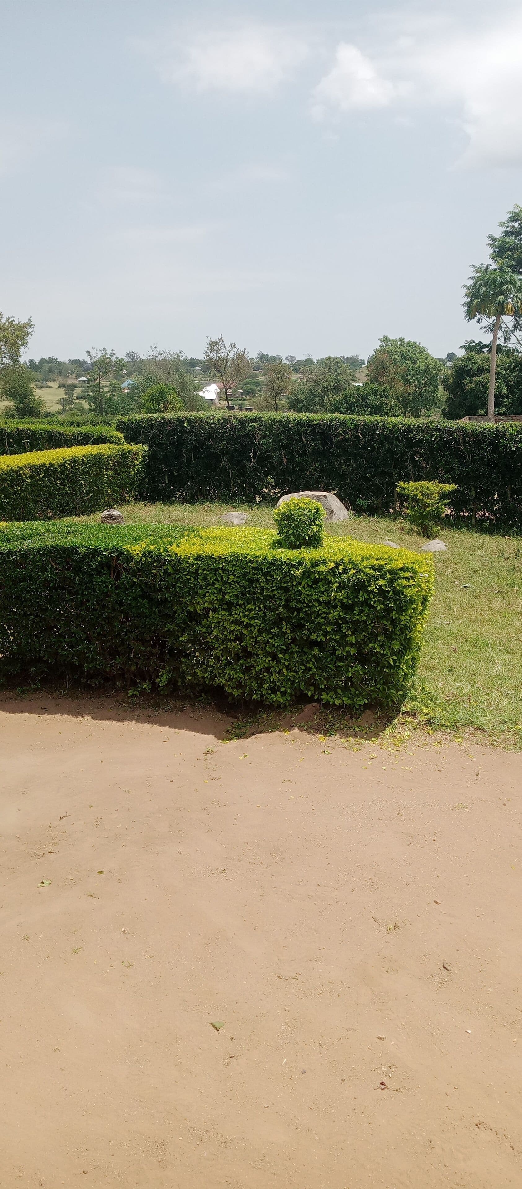 Un área ajardinada con setos cuidados y un sendero de tierra.