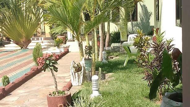 A courtyard with palm trees, potted plants, and a tiled floor.