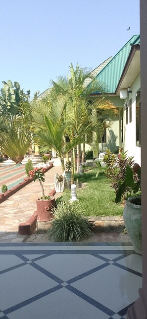 A courtyard with palm trees, potted plants, and a tiled floor. - Elegance Lodge &Hotel (Serengeti)