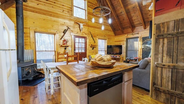 A rustic cabin interior with a wooden interior, a central island with a sink and a bowl of fruit, a fireplace, and a television.