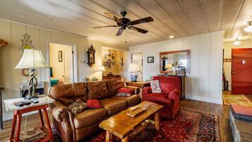 Televisión y chimenea