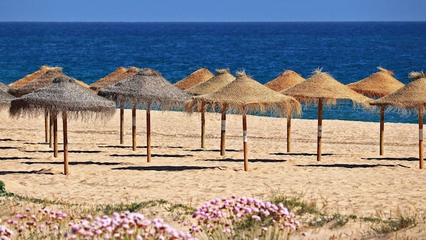 Une plage avec des parasols en chaume et un rivage sablonneux.