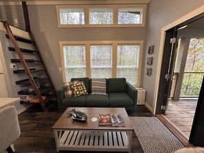 TV, fireplace, books