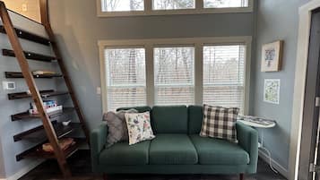 TV, fireplace, books