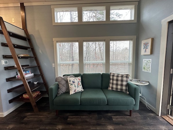 Télévision, cheminée, livres