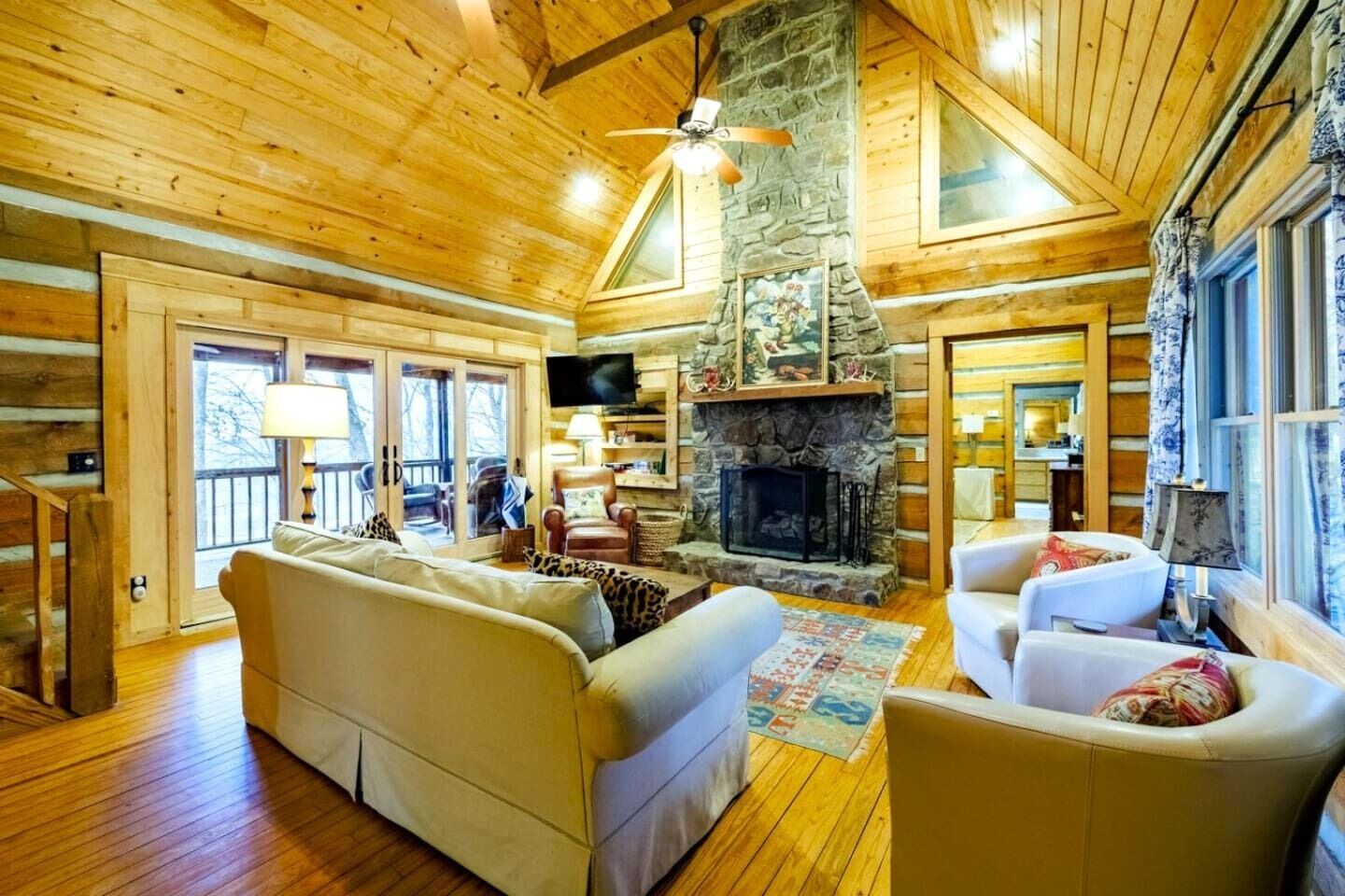 Télévision, cheminée, lecteur de DVD, livres