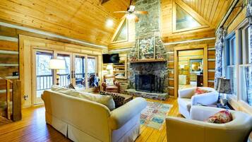 TV, fireplace, DVD player, books