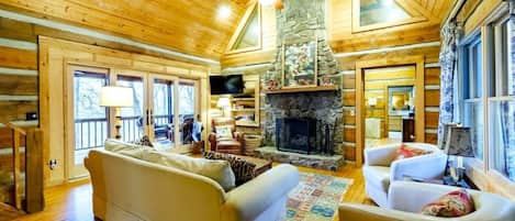 Televisión, chimenea, reproductor de DVD y libros