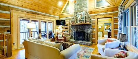 Télévision, cheminée, lecteur de DVD, livres