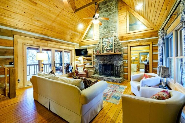 TV, fireplace, DVD player, books