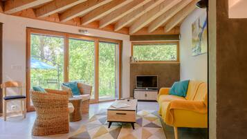 Télévision, cheminée, lecteur de DVD