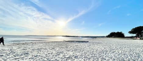 Plage, chaises longues