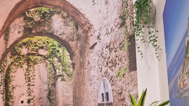 An indoor courtyard with arches, potted plants, and a white door.