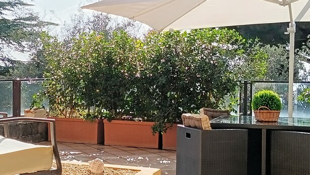 Een terras buiten met een gewatteerde stoel, een tafel en een rieten mand.