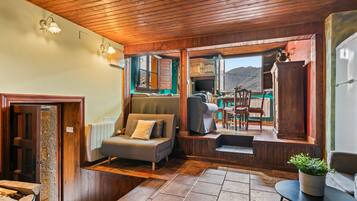 TV, fireplace, table tennis