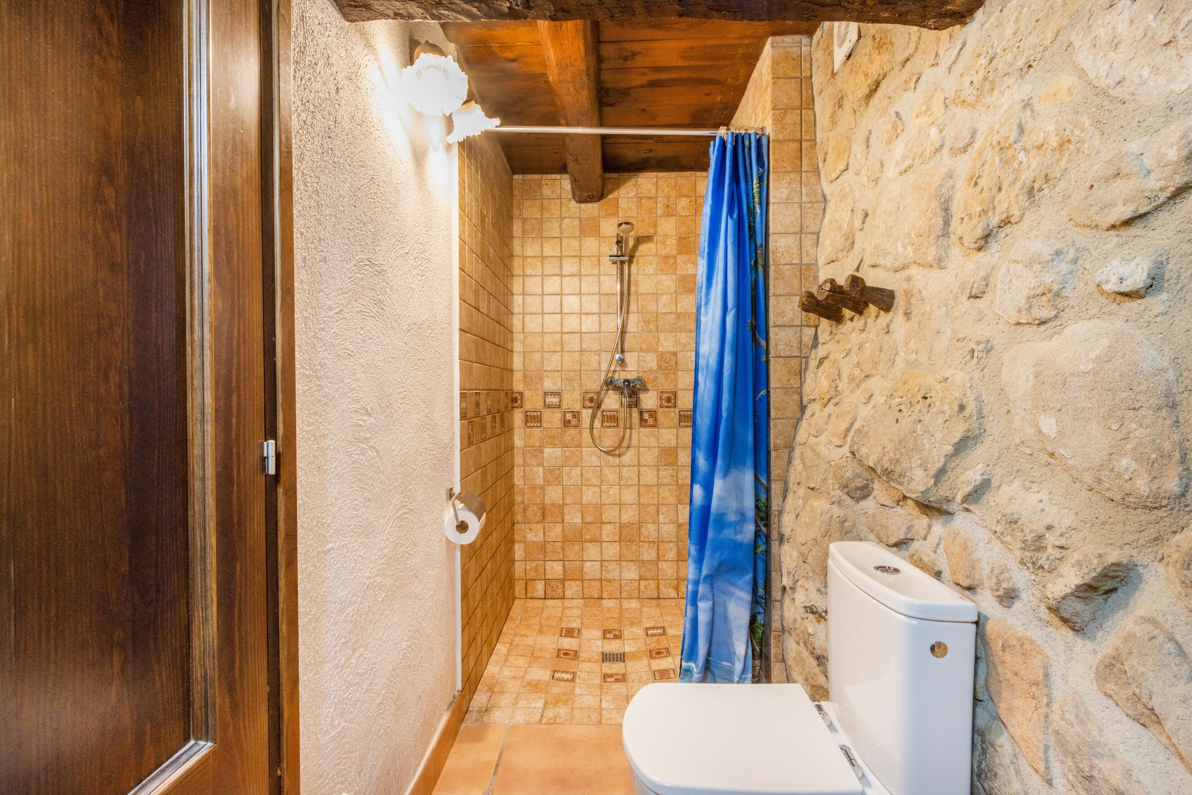 A bathroom with a shower, toilet, and wooden door.