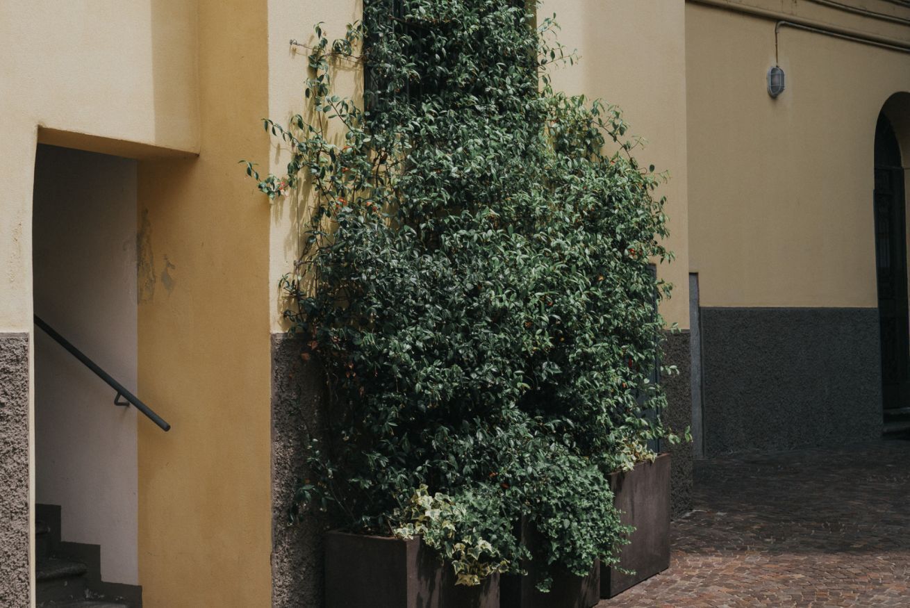Außendetails