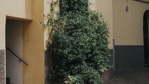 Un bâtiment doté d’un escalier, d’un mur recouvert de plantes grimpantes et d’un sol carrelé.