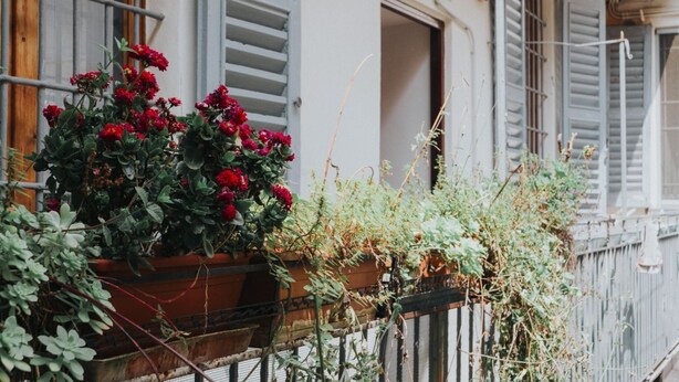 Un balcon agrémenté de plantes en pot et doté d’une rambarde en métal.