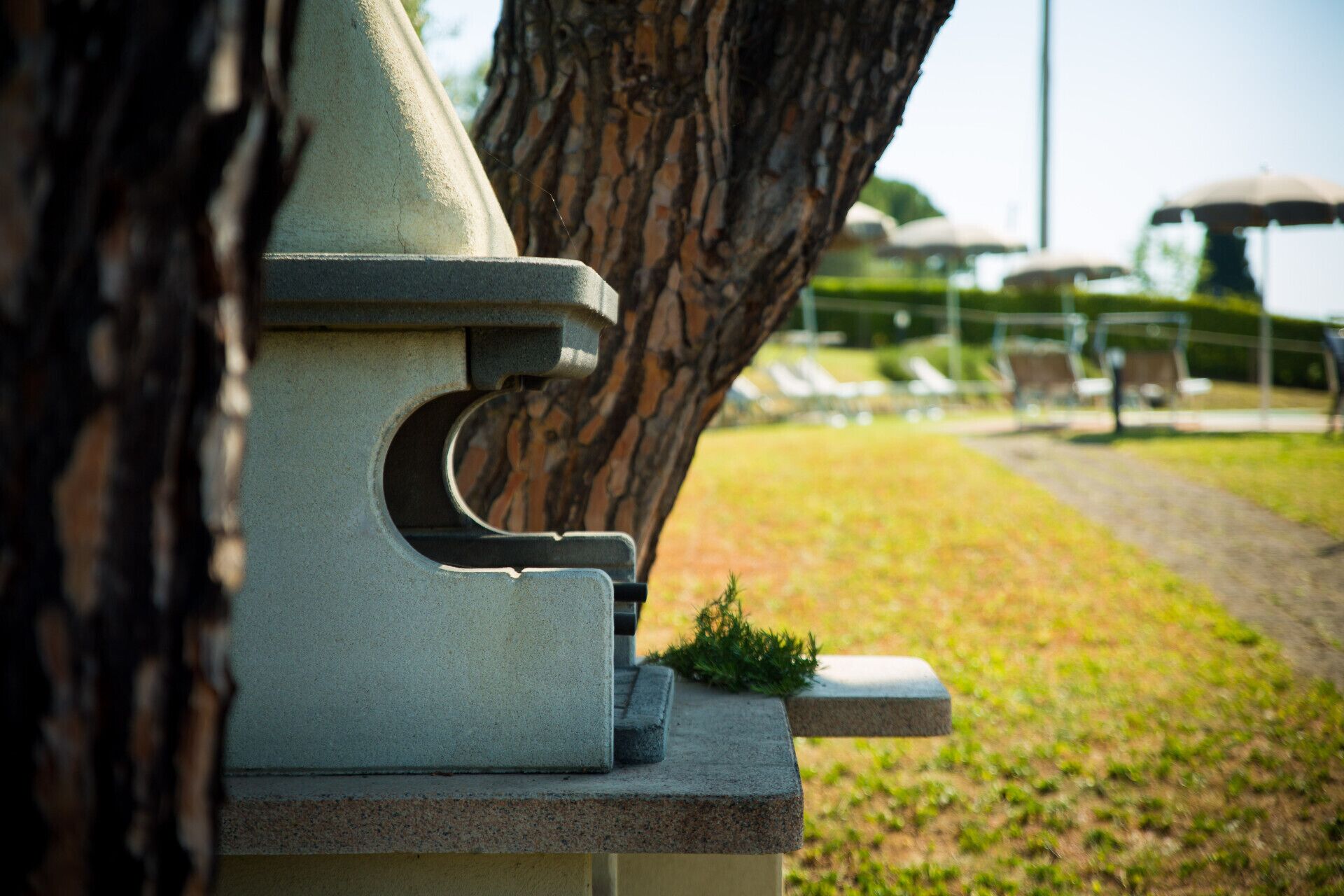 Un banc en pierre orné de motifs sculptés, situé dans un parc, avec un arbre et une vue lointaine sur une zone abritée par des parasols.