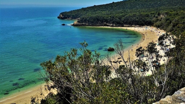 A coastal beach with clear turquoise waters, sandy shores, and dense green vegetation.
