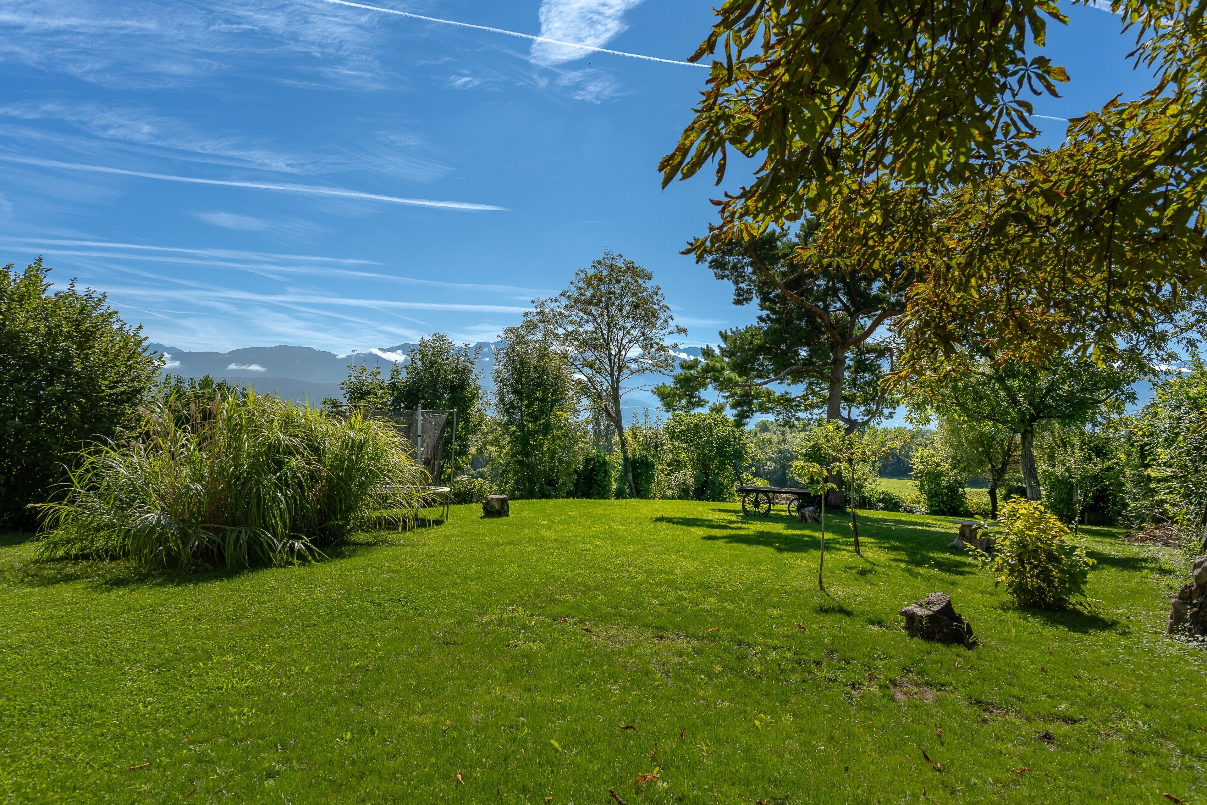 A grassy outdoor area with trees, a bench, and a stone structure.