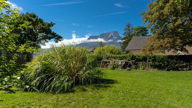 Une cour verdoyante avec une maison, des arbres et une montagne en arrière-plan.