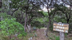 Un cartel de madera con el texto 'THE TINY TRAIL' en un área boscosa.