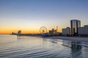 Experience the vibrant cityscape with stunning views of the ocean and bustling urban life from the pier and Ferris wheel.