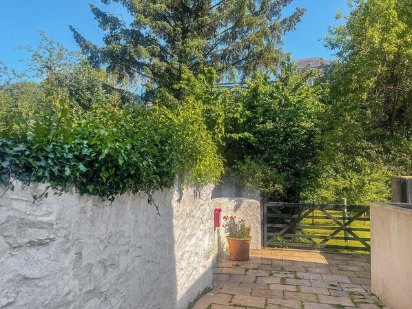 A paved entrance with a gate, a white wall, and a potted plant with flowers.