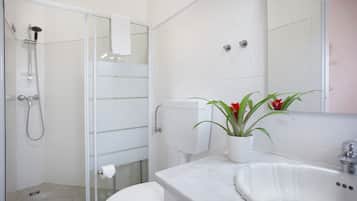 Ducha, secador de pelo, toallas