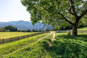 المنطقة المحيطة بالمنشأة