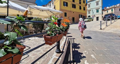 Apartment 'Bilo Terrazza Rio Elba' with Mountain View, Balcony and Air Conditioning