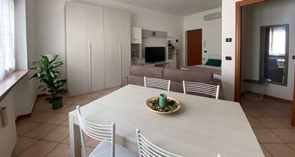 Studio 15 min from Rho Fiera (Foliage House)