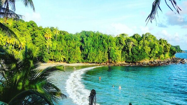 A tropical beach with clear blue water, lush greenery, and a rocky shoreline. -  Open concept space waiting to be discovered. 
Modern accessible & affordable.  (Buccoo)