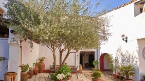 Un patio con olivos, plantas en macetas, suelo de piedra y paredes blancas.
