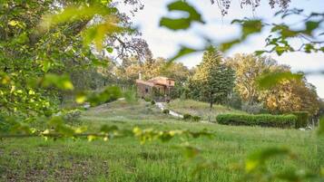Una casa rodeada de un paisaje verde exuberante, con un camino que lleva a ella.