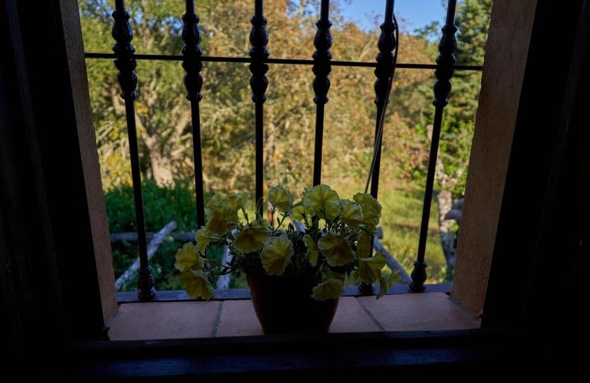 Una ventana con barandilla metálica y una maceta con flores amarillas.