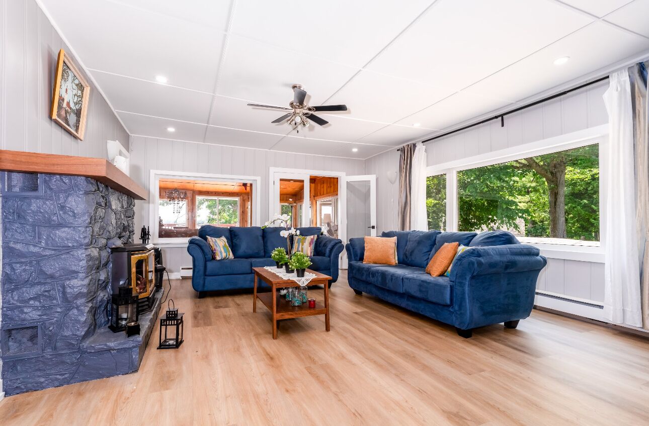 TV connectée, cheminée, lecteur de DVD, chaîne hi-fi