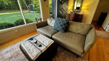 Smart TV, fireplace, books, video library