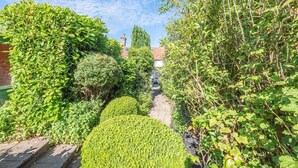 A narrow, paved pathway flanked by lush, green hedges and shrubs, leading towards a building with a red-tiled roof. - Angel Cottage, Wenhaston. Nr Southwold and Minsmere (Suffolk)