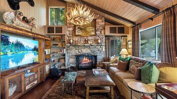 Smart TV, fireplace, books