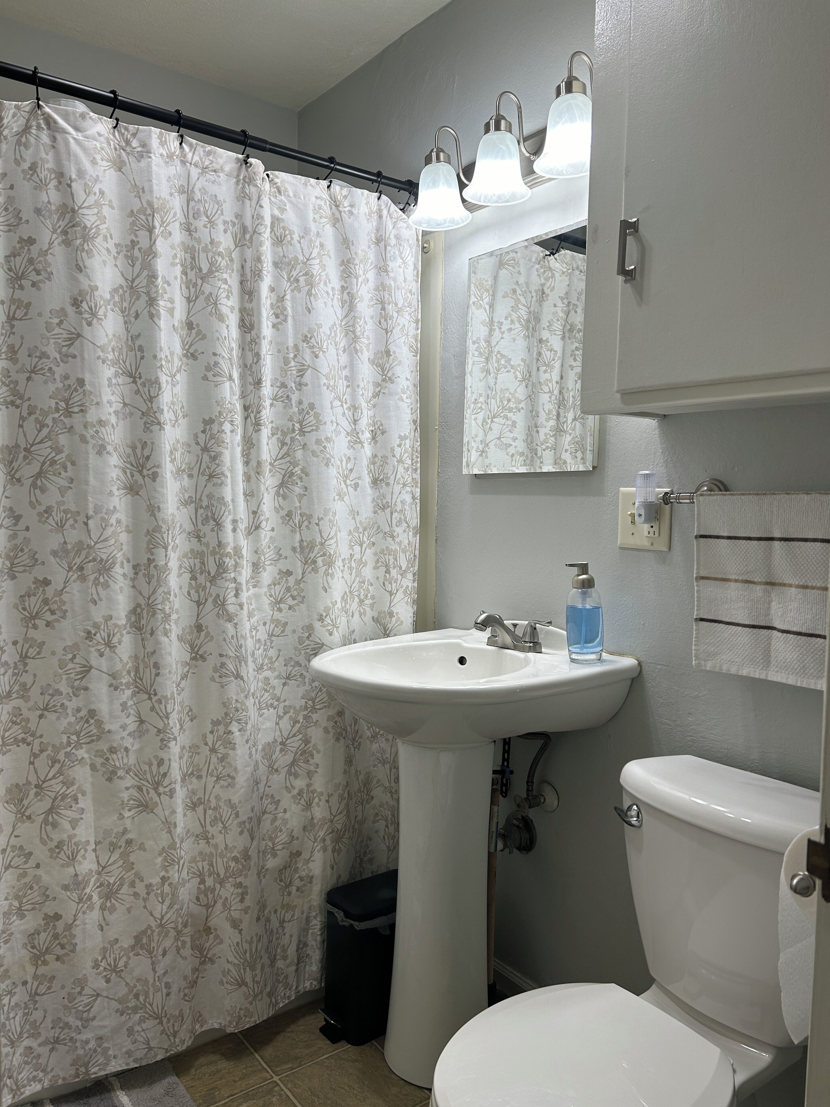 Hårtork, handdukar, tvål och schampo