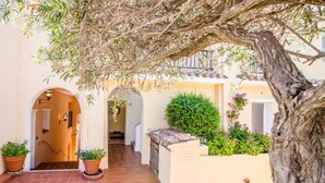 Un cortile con pavimento piastrellato, piante in vaso, un albero e un edificio con ingresso ad arco.