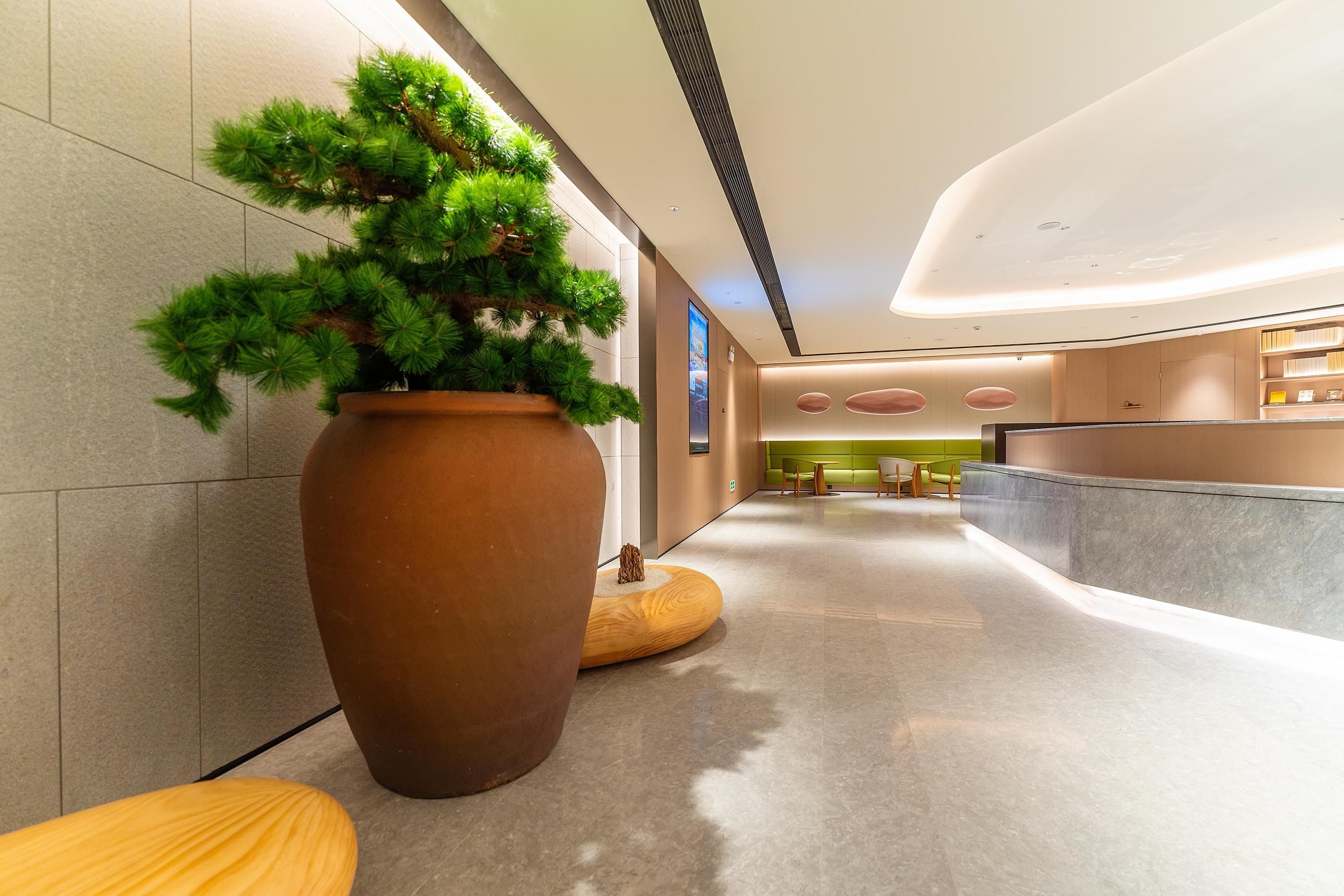 A modern lobby with a large potted plant, seating area, and a reception desk.