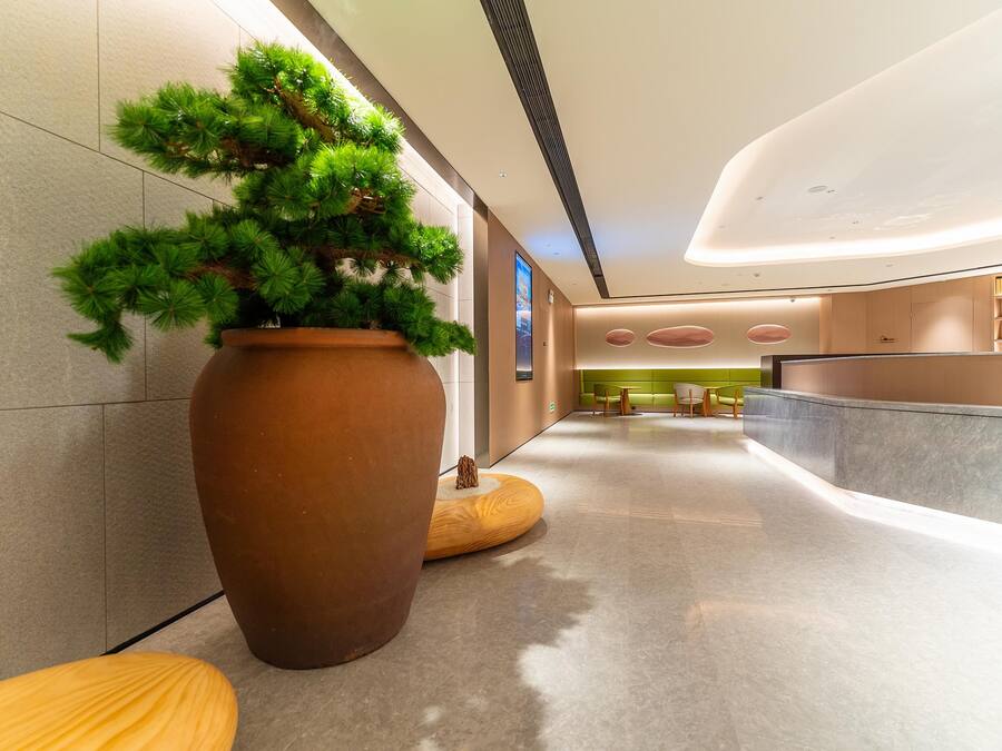 A modern lobby with a large potted plant, seating area, and a reception desk.