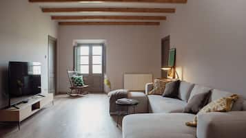Smart TV, fireplace, books, music library