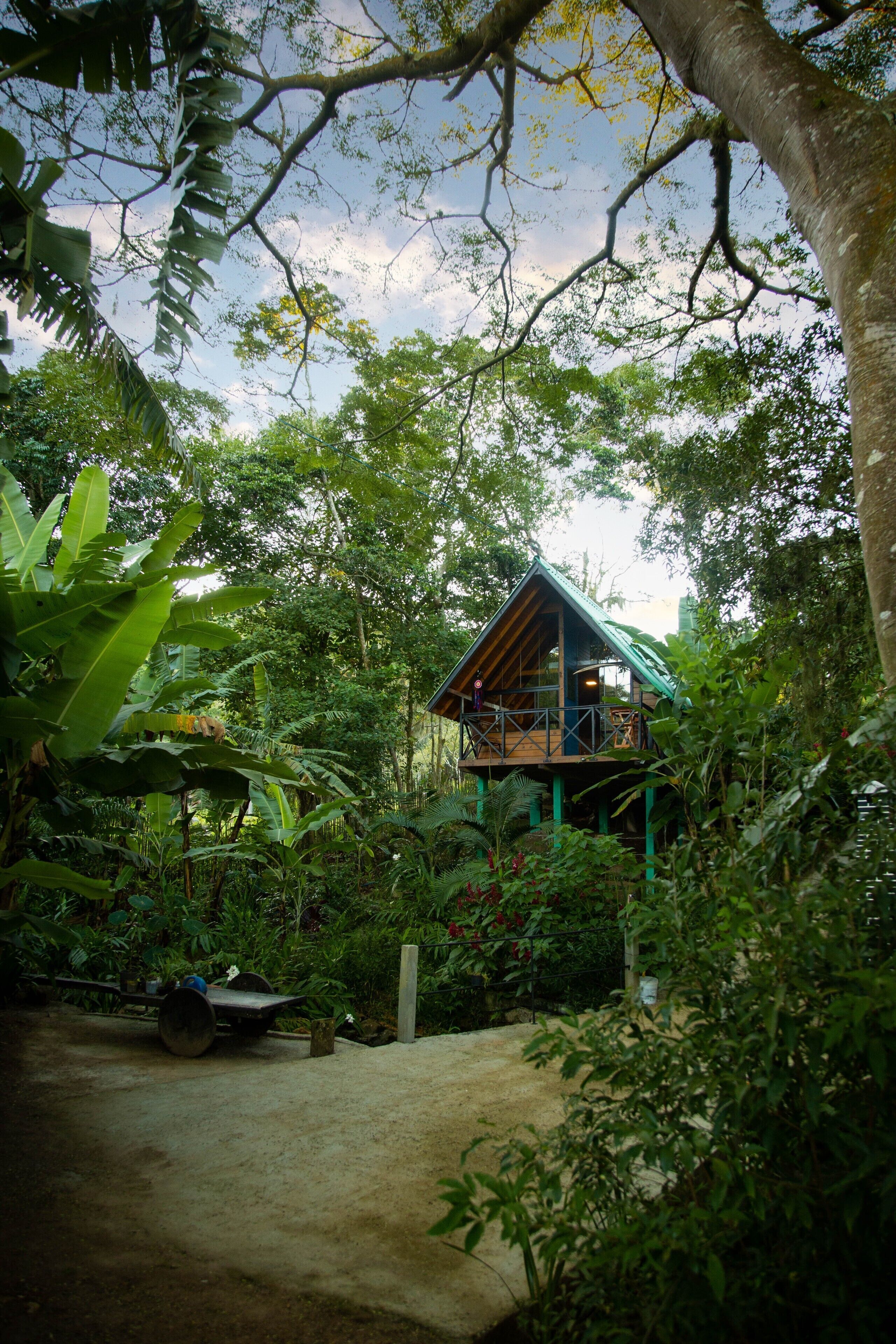 Área da propriedade