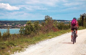 Miscellaneous - Amazing apartment in Premantura (Premantura)